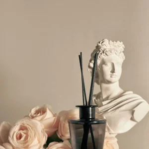 Jacque Rosewood Reed Diffuser