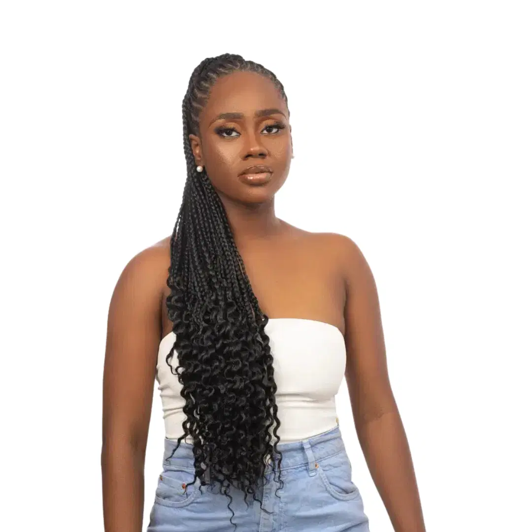 Natural Hair Rockss Braided Ponytail