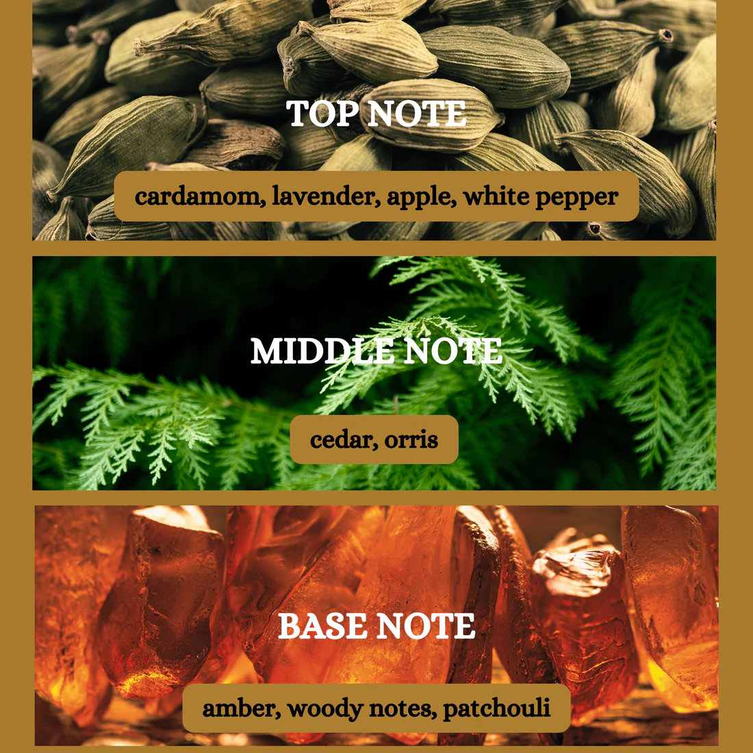 Oud Rush By TM Beauty - Image 5