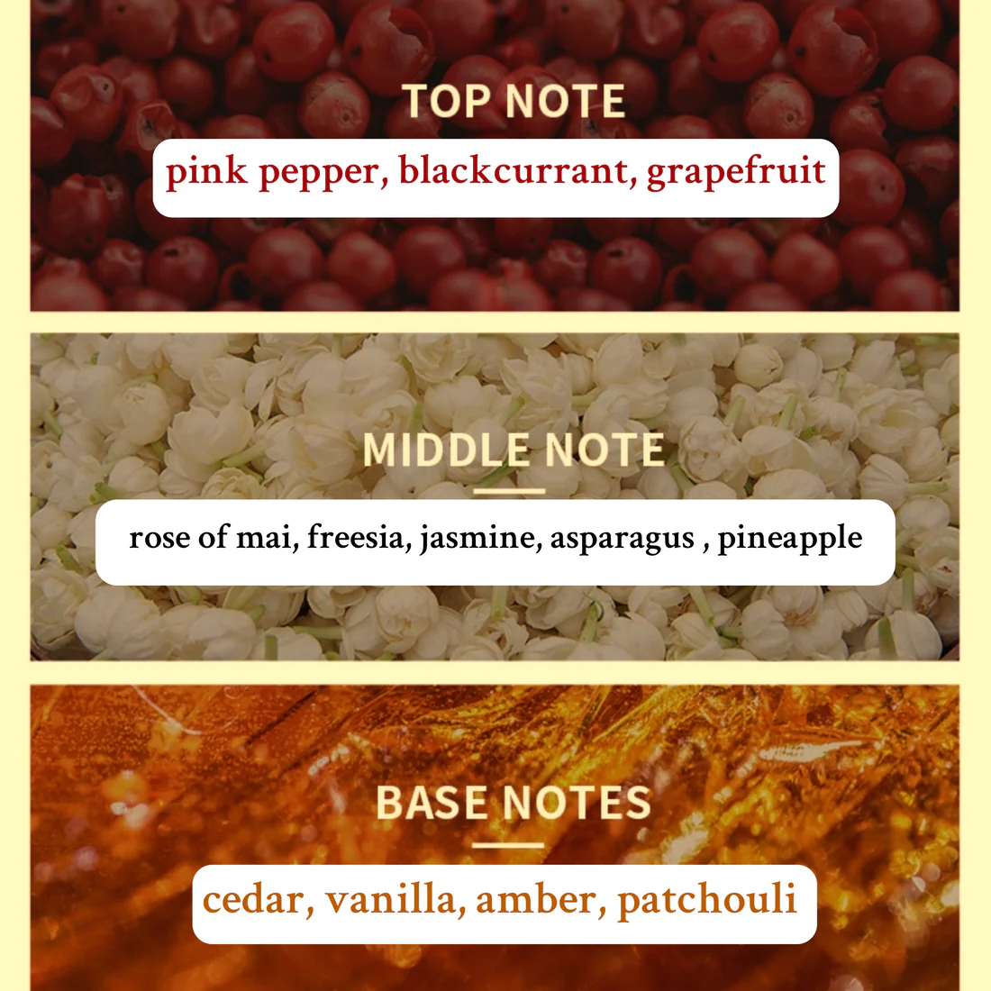 Dive by TM Beauty- 10ml - Image 2