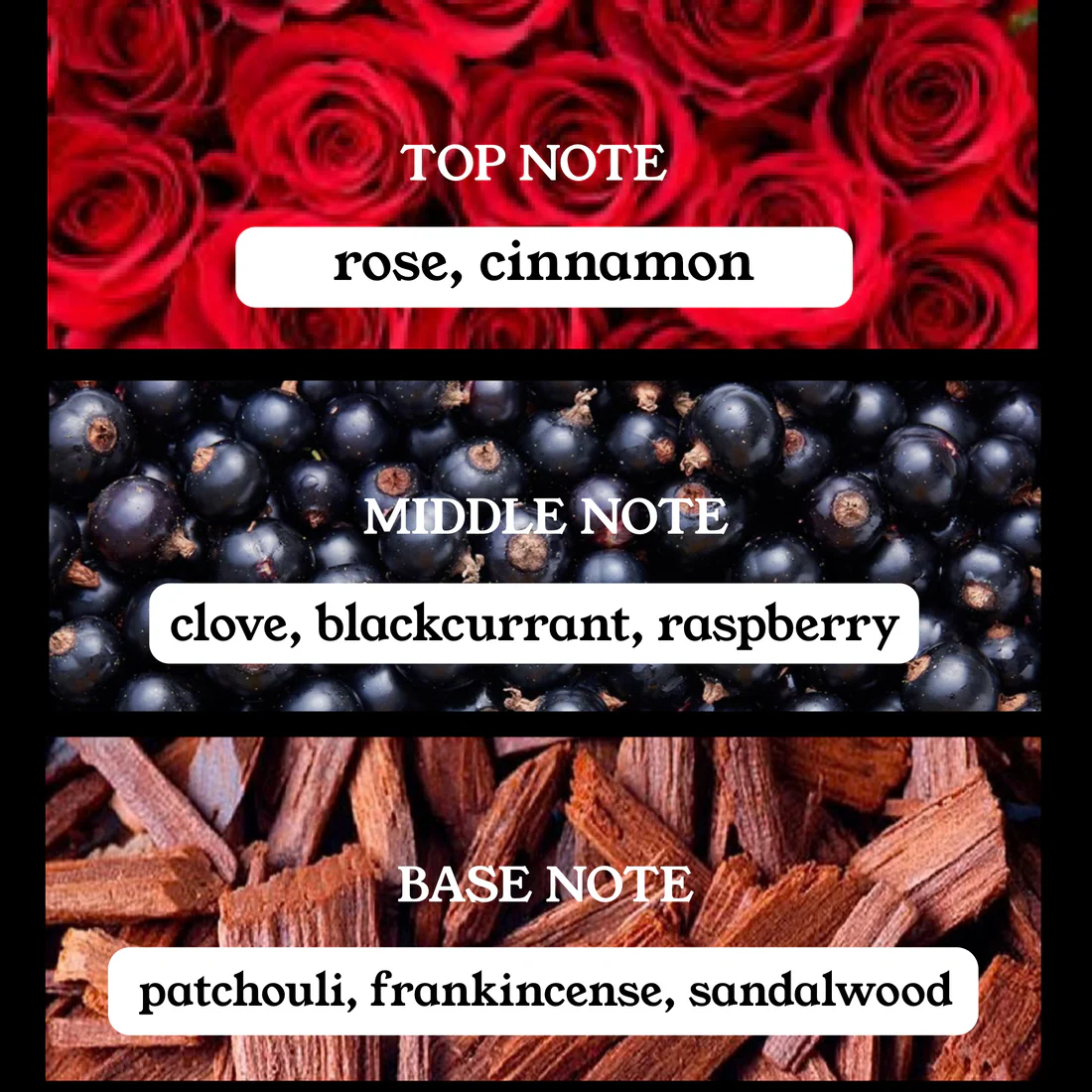 Intense by TM Beauty- 10ml - Image 3