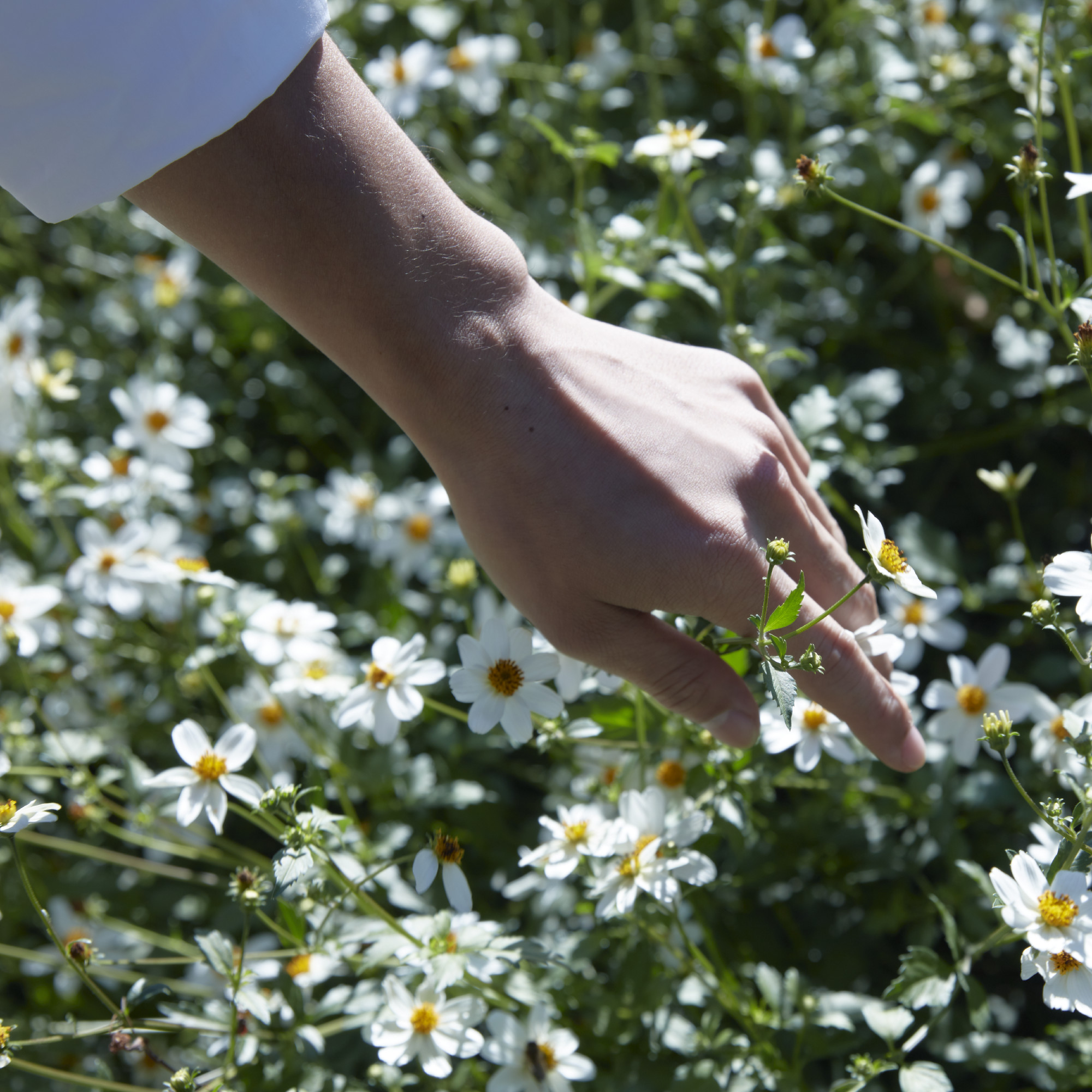 Maison Margiela Replica Springtime in a Park Eau de Toilette - Image 4