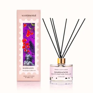 Barbados-Reed-Diffuser
